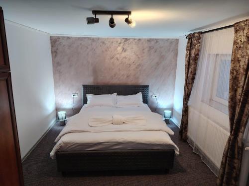 a bedroom with a large bed in a room at Casa Aida in Peşteana
