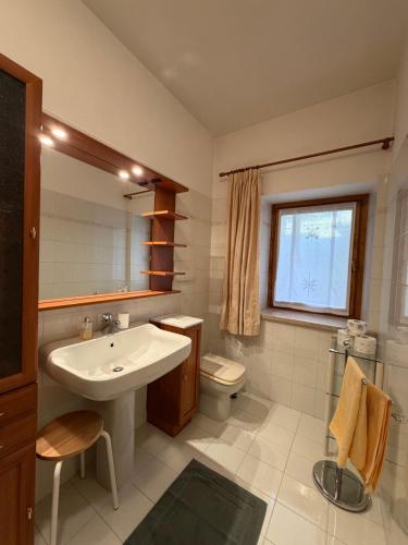 a bathroom with a sink and a toilet at Ciasa Caligher in Venas