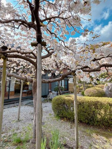 Newly opened special price ,Traditional Japanese house 130 m2 private,3 bedrooms,Fountain,Zen Japanese garden,2 free parking spaces