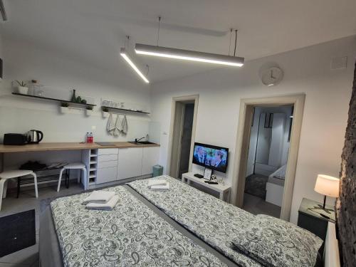 a bedroom with a bed and a kitchen and a television at Studio Apartman 47B in Valjevo