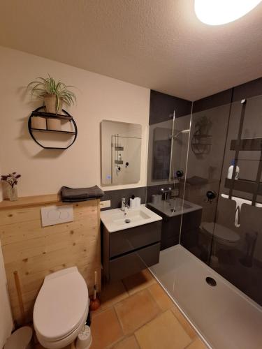 ein Badezimmer mit Toilette, Waschbecken und Dusche in der Unterkunft Studio Keppelborn in Sankt Vith