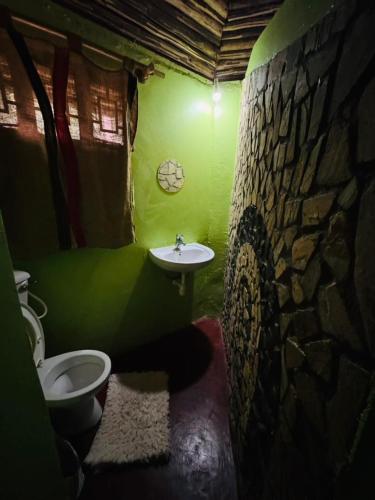 a green bathroom with a toilet and a sink at Oldadai Falls Retreat in Arusha