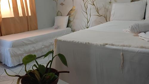 two beds in a room with a potted plant at Quarto Aconchego Nordestino in Aracaju