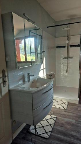 a white bathroom with a sink and a shower at Les Hirondelles Chanaz in Chanaz