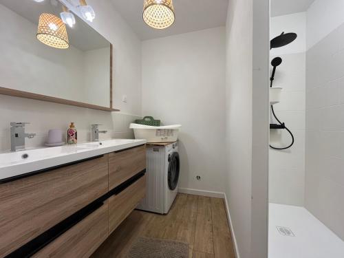 a bathroom with a sink and a washing machine at Villa Fautea Verdon in Sainte-Croix-de-Verdon