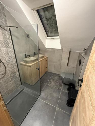a bathroom with a shower and a toilet and a sink at Apartmany Zvole in Zvole