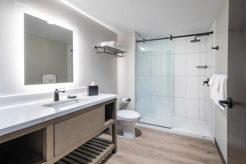 a bathroom with a sink and a toilet and a mirror at Hotel Rose in Rockford
