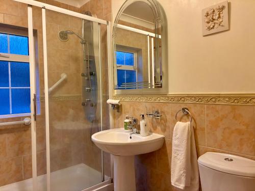 a bathroom with a sink and a shower and a toilet at Inglewood Lodge B&B in Naas