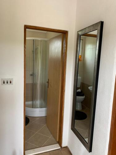 a bathroom with a shower and a mirror at Villa Julija with Private Pool in Bilišane