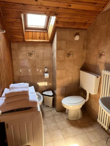 a bathroom with a toilet and a sink at La Mansarda di Tiziano in Pieve di Cadore