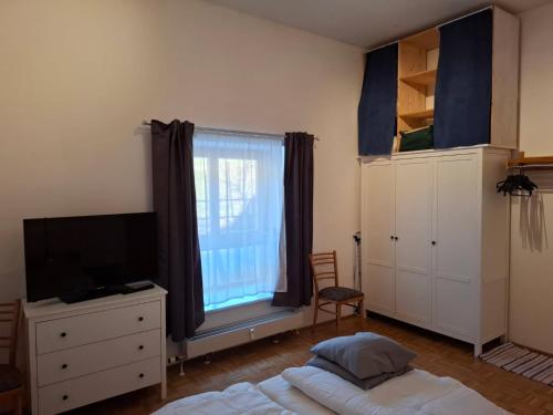 a bedroom with a bed and a tv and a window at Ferienwohnung Alexanderhof in Sankt Lambrecht