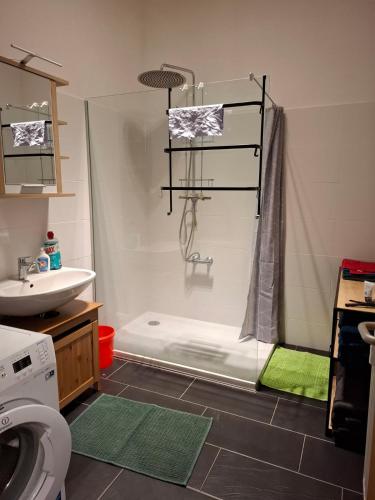 a bathroom with a shower and a toilet and a sink at Ferienwohnung Alexanderhof in Sankt Lambrecht