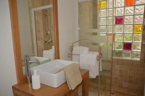 a bathroom with a sink and a shower at Séminaire Comme à la Maison - cosy, écossais & productif en Sologne in Aubigny-sur-Nère