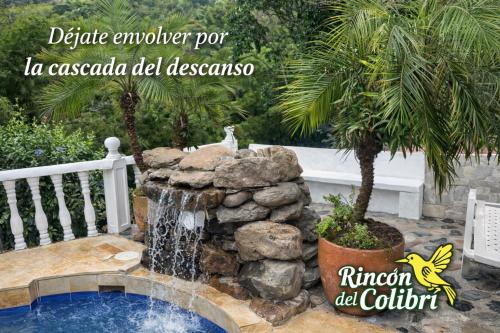 a water fountain in a yard with a palm tree at Rincón del Colibrí in La Vega