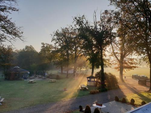 a view of a park on a foggy morning at Stichting InnEssence Stokershorst in Nederweert-Eind