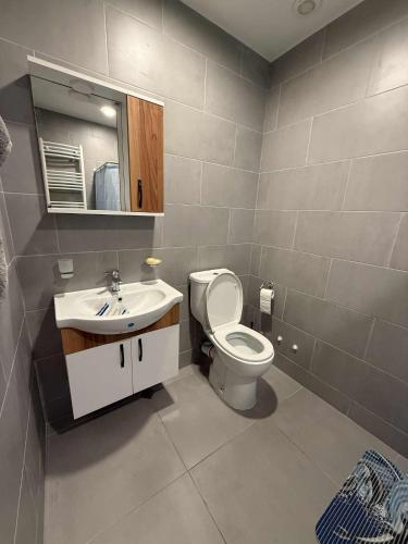 a bathroom with a toilet and a sink at Nino's Home in Bakuriani