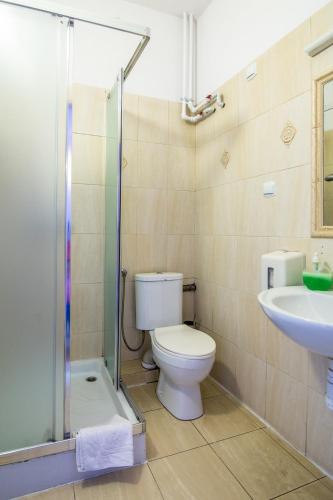 a bathroom with a toilet and a sink at Karczma Pod Topolami in Ratowo Piotrowo