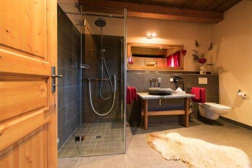 a bathroom with a shower with a sink and a toilet at Chalets-zum-Ilsetal-Jagd-Chalet-Nr-19 in Ilsenburg