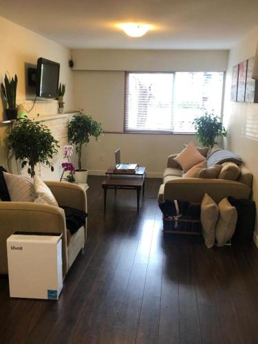 a living room with two couches and a table at Quiet-comfy 3 bedroom house on a tree lined street in Kitsilano in Vancouver