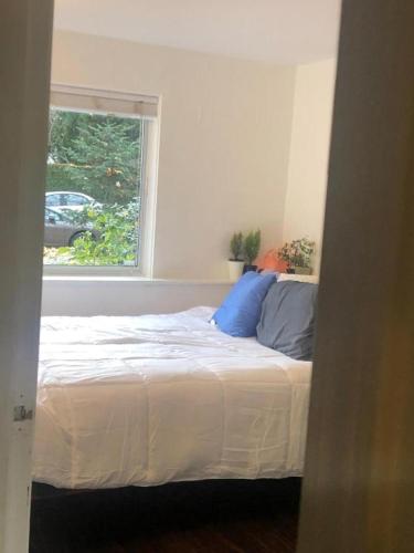 a bed with blue pillows in a room with a window at Quiet-comfy 3 bedroom house on a tree lined street in Kitsilano in Vancouver