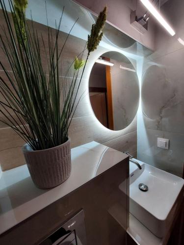 a bathroom with a sink and a mirror and a potted plant at Alexandra by the Sea in Nea Peramos