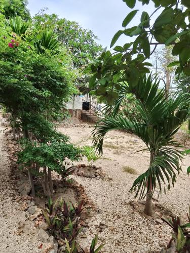 a garden with trees and plants on the ground at HIGSAM apartment in Ukunda
