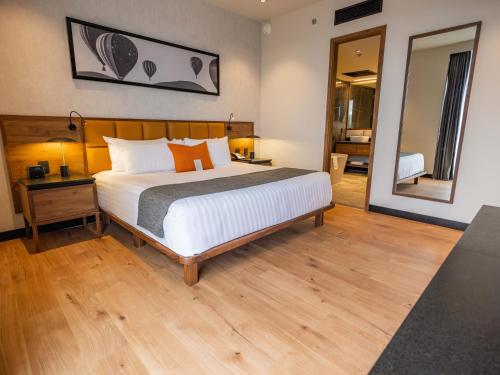 Galeria Plaza Leon — Bedroom