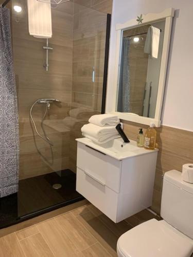 a bathroom with a shower and a sink and a toilet at OCEAN PLAGE Appartement-terrasse-garage-wifi-draps et serviettes in Hendaye
