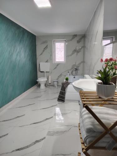 a bathroom with a sink and a toilet and a tub at Casa AIDA in Peşteana