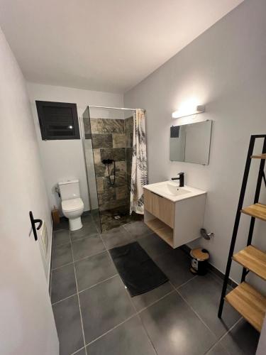 a bathroom with a toilet and a sink and a mirror at Golden palm in Rivière-Pilote