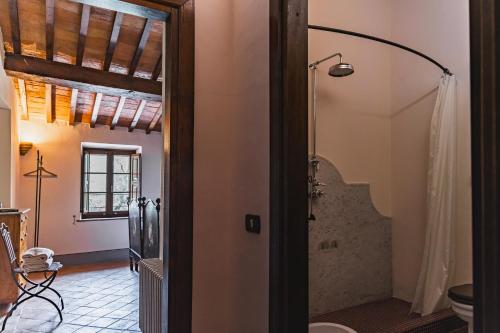 a bathroom with a shower and a toilet at Terre di Nano in Monticchiello