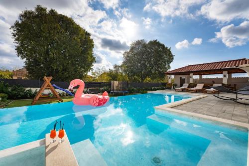 a swimming pool with a pink swan in the middle at My Dalmatia - Apartment Neda with shared pool in Galovac