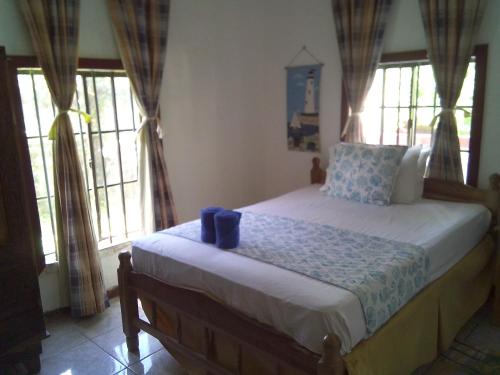 a bedroom with a large bed with windows at Reach For The Islands in Corn Islands