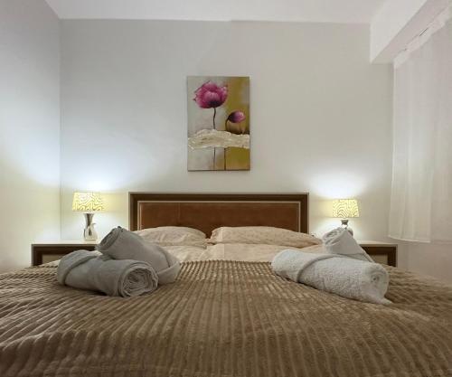 a bedroom with a large bed with two pillows on it at Dolce Casa E K in Strumica