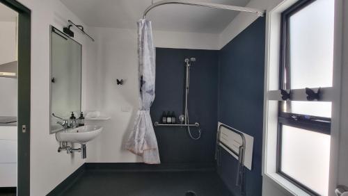 a bathroom with a sink and a shower at Mt Field Retreat in National Park
