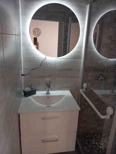 a bathroom with a sink and a mirror at Appartement 1 chambre in Jayat