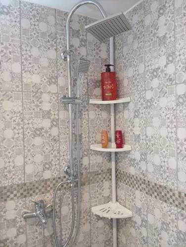 a shower with two shelves in a bathroom at Appartement 1 chambre in Jayat