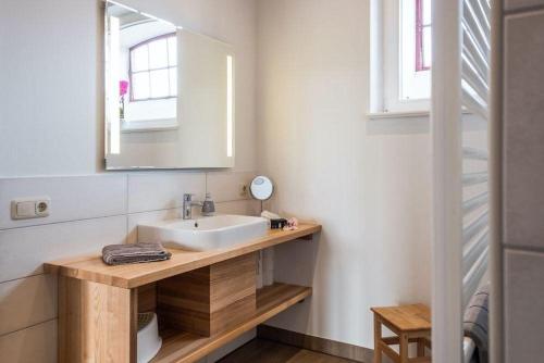 a bathroom with a sink and a mirror at Gut-Royum-Strohlager in Brodersby