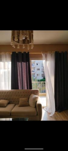 الشيخ زايد في القاهرة