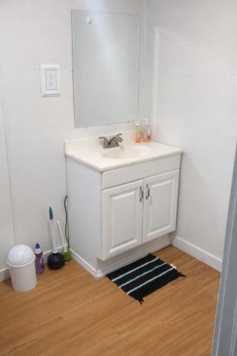 a bathroom with a white sink and a mirror at GpL 424 San Bernardino in North Fort Myers