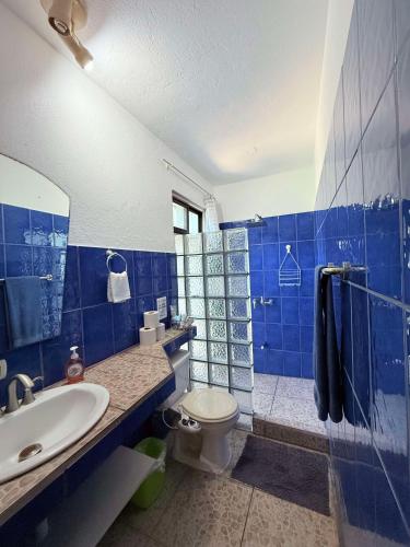 a blue tiled bathroom with a toilet and a sink at Bohemian Monkey in Cahuita