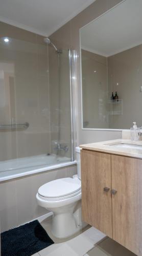 a bathroom with a toilet and a shower and a sink at DEPARTAMENTO ACOGEDOR Y TRANQUILO en Chillán Centro, full equipado, ideal para descansar, Wifi y Estacionamiento in Chillán