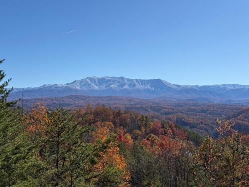a view of a forest with mountains in the background at Four-Bedroom Holiday Home in Pigeon Forge