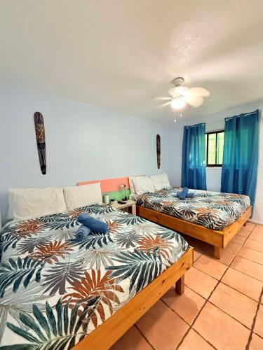 two beds in a room with blue curtains at Bohemian Monkey in Cahuita