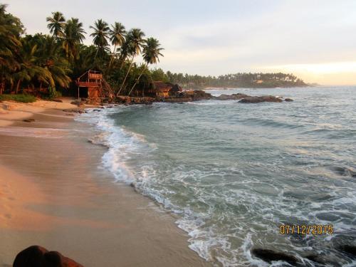 a beach with palm trees and the ocean at Sanderling Silent Beach Cabanas in Tangalle