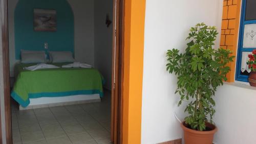 リプシにあるStudios Akrogialliのベッドルーム1室(緑色のベッド1台付)