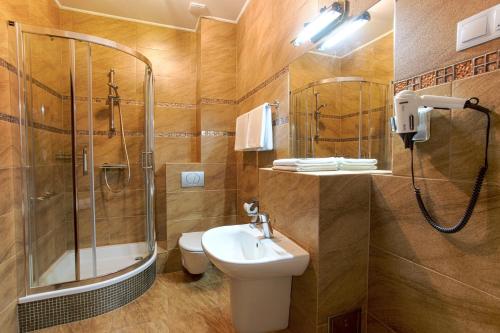 a bathroom with a shower and a toilet and a sink at Hotel Róża in Kamieniec Wrocławski