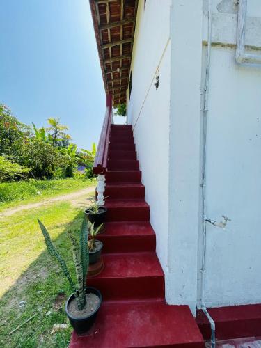 a staircase leading up to a house with potted plants at Siri Niwasa Sky Villa in Ahangama