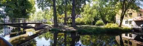 a reflection of trees in a body of water at Altstadtrefugium Krämerbrücke in Erfurt