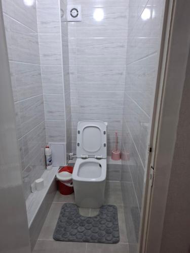 un piccolo bagno con wc e doccia di Квартира a Karakol